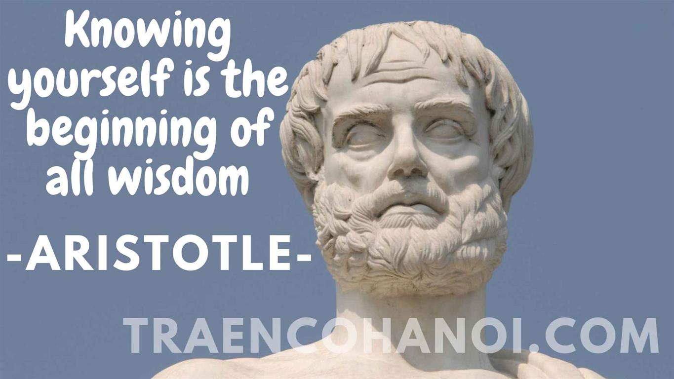 Aristotle: The Polymath of Ancient Greece - TRAENCOHANOI