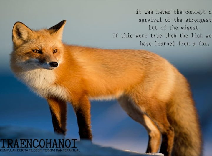 The Philosophy of the Fox