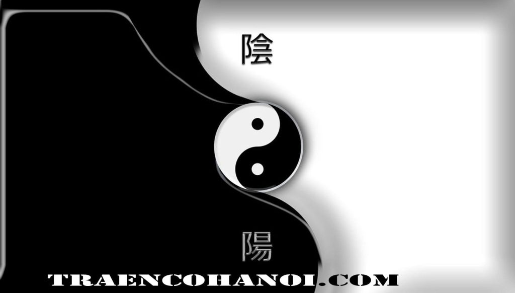 Prinsip Yin Yang