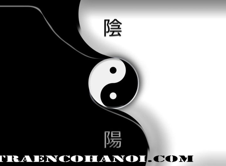 Prinsip Yin Yang