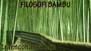 Filosofi Bambu